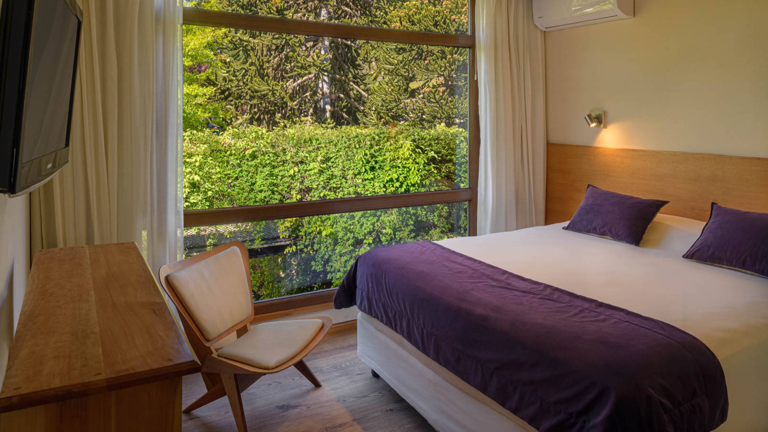 Amonite Apart & Spa.