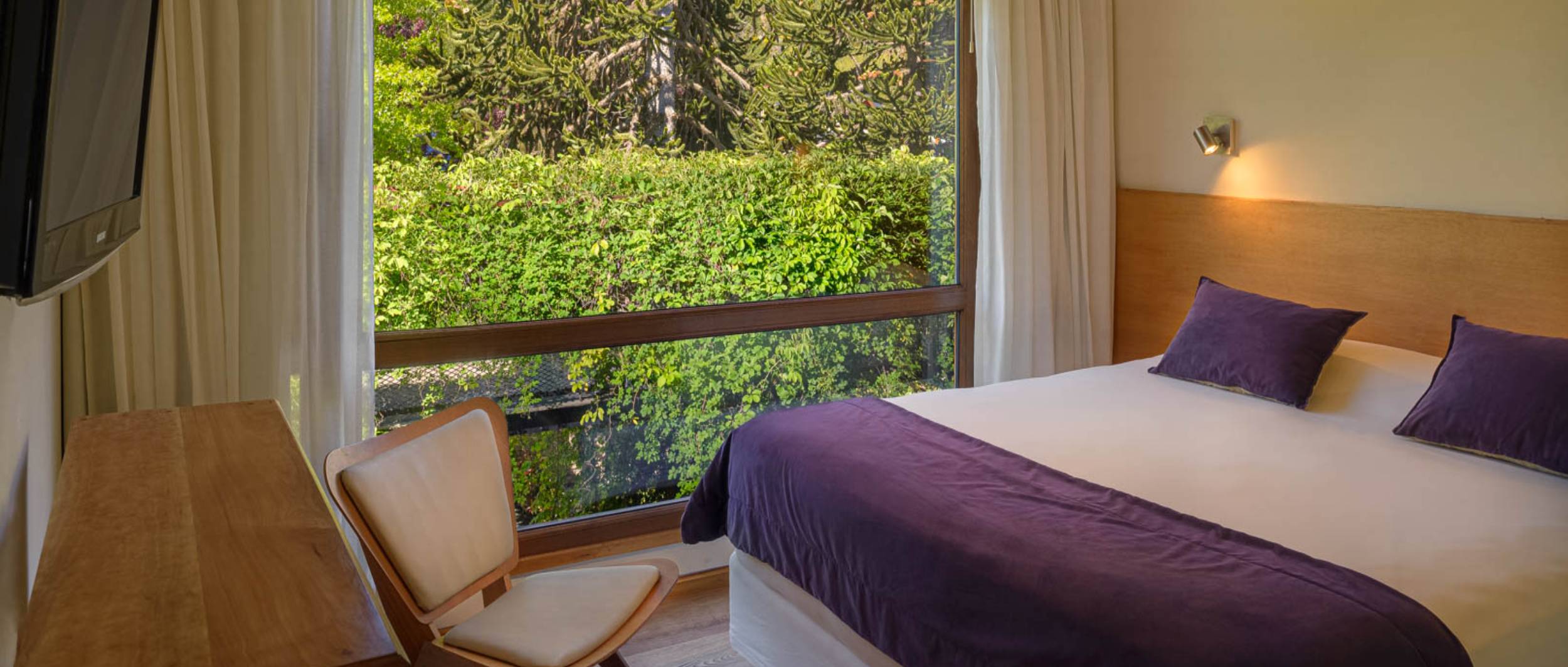 Amonite Apart & Spa.