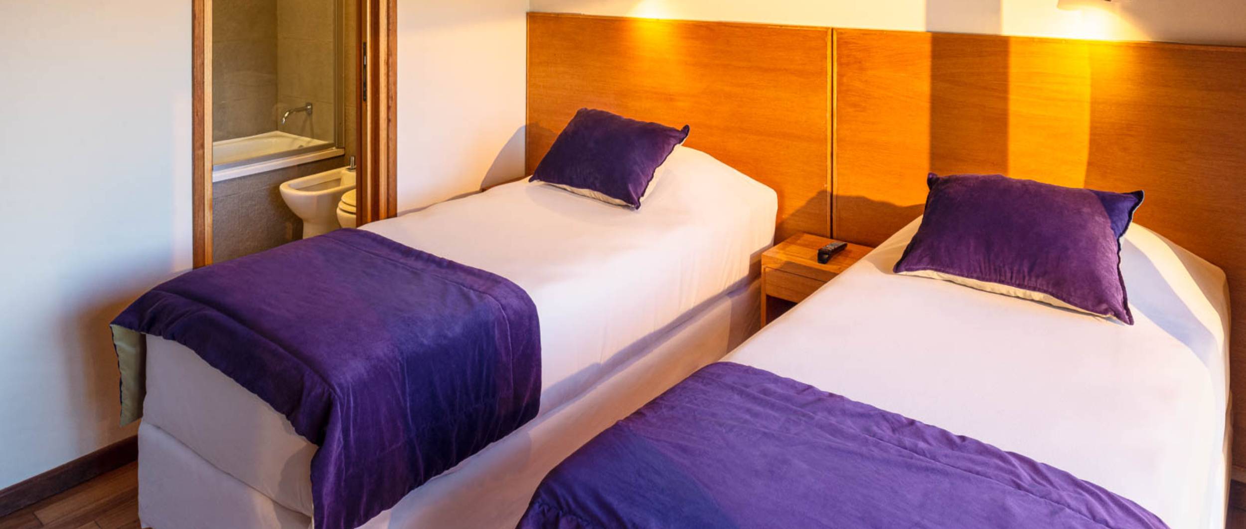 Amonite Apart & Spa.