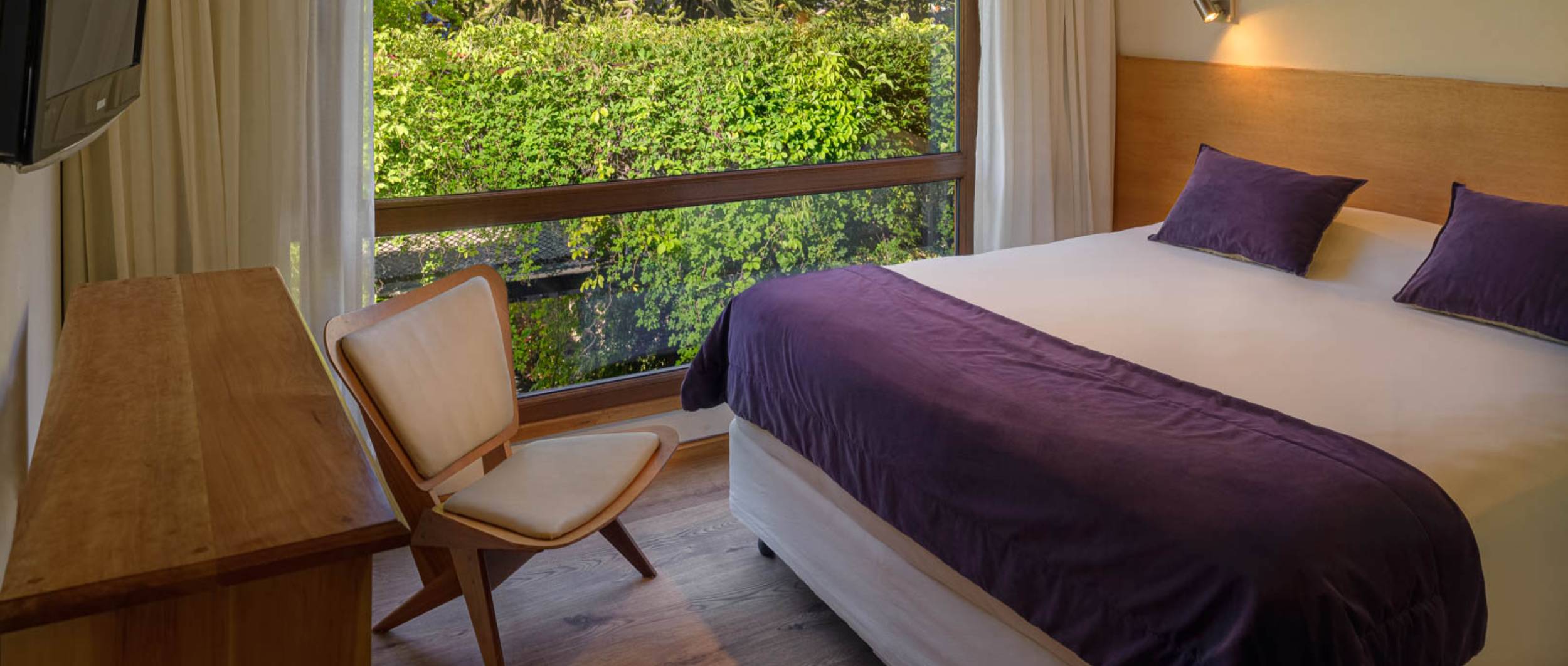 Amonite Apart & Spa.