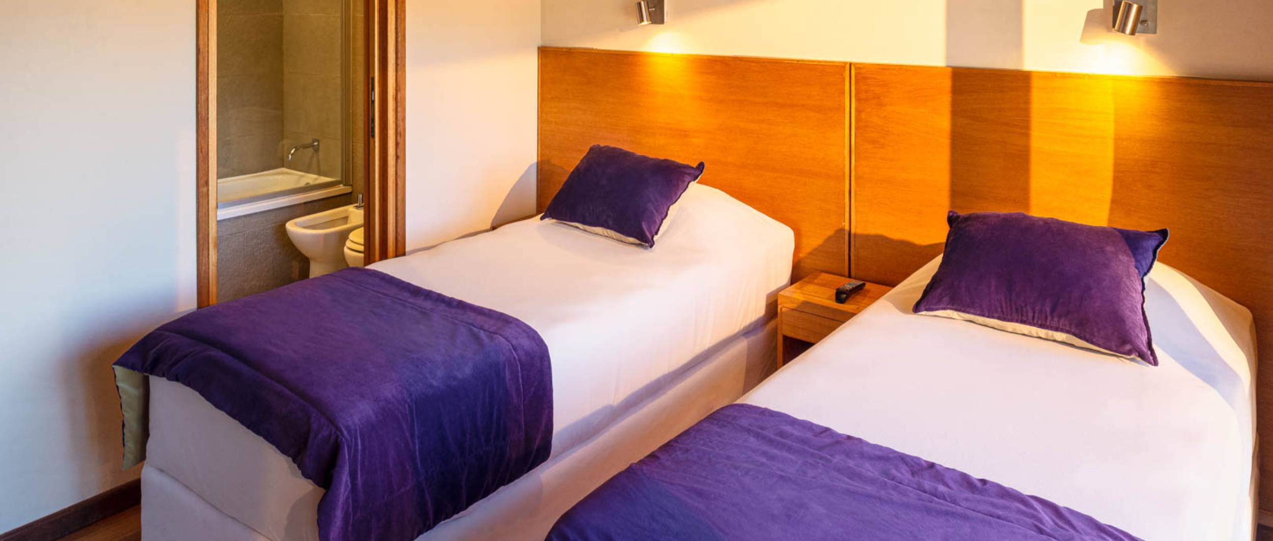 Amonite Apart & Spa.